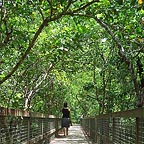 MARRDJA BOARDWALK