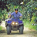 REAL BUSH TRAILS