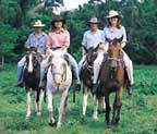 RAINFOREST HORSERIDE