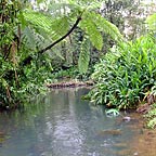 SWIM AT WATERFALLS