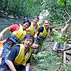 WALK THROUGH THE RAINFOREST