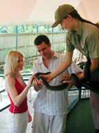 CAIRNS TROPICAL ZOO