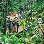 RAINFOREST EXPERIENCE