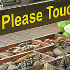 1 HOUR GUIDED TOUR