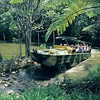 RAINFORESTATION ARMY DUCK