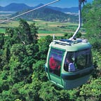Kuranda & Rainforestation