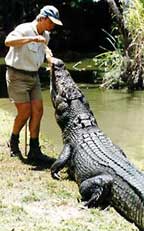 CROC ATTACK SHOW