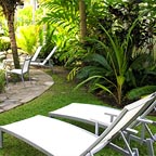 LUSH GARDENS