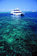MANY REEF LOCATIONS