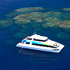 GREAT REEF SITES