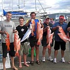 BRING HOME THE FISH!