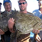 SOLE & SHARED CHARTERS