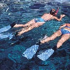 GUIDED SNORKELLING