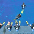 INTRODUCTORY DIVES