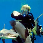 VIEW MARINELIFE UP CLOSE