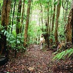 MOSSMAN GORGE
