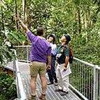 GUIDED RAINFOREST WALK