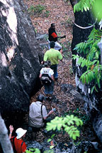 RICH ABORIGINAL HISTORY
