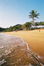 TRINITY BEACH