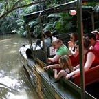 UNIQUE RAINFOREST EXPERIENCE