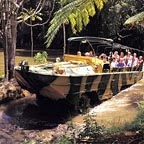 ARMY DUCK RAINFOREST TOUR