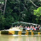 Kuranda & Rainforestation