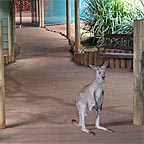 WILDLIFE PARK