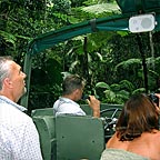 TRAVERSE THROUGH RAINFOREST