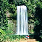MILLAA MILLAA FALLS