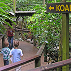 RAINFOREST HABITAT