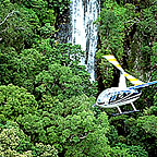 RAINFOREST SCENIC