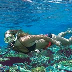 VIEW MAGNIFICENT CORAL