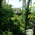 TROPICAL GARDEN WALK