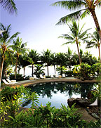 TROPICAL POOL