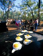 BUSH BREAKFAST
