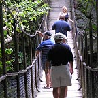 SWING BRIDGE