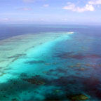 SPECTACULAR OUTER REEF