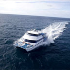 REEF EXPERIENCE
