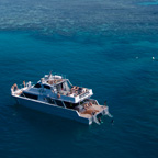 SWIM, SNORKEL OR DIVE