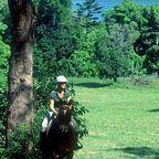 HORSERIDING