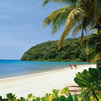TROPICAL GETAWAY