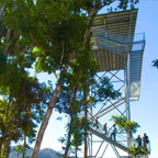 MAMU CANOPY WALKWAY