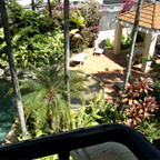 TROPICAL GARDENS AND BBQ