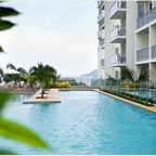LARGE FREEFORM POOL