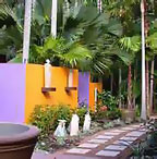 TROPICAL GARDENS