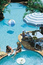 TROPICAL QUEENSLANDER POOL