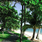 TROPICAL BEACH LIFESTYLE