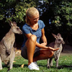 HAND FEED KANGAROOS