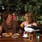 BREAKFAST WITH THE BIRDS