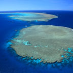 OUTER REEF EXPERIENCE
